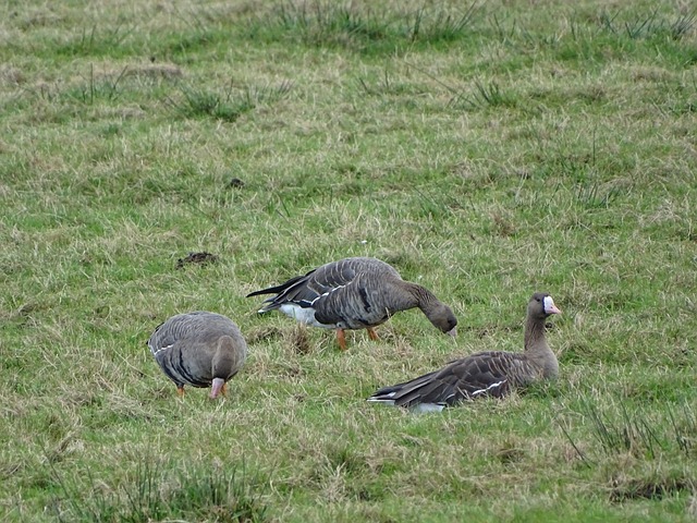 这一立场也 这一立场也