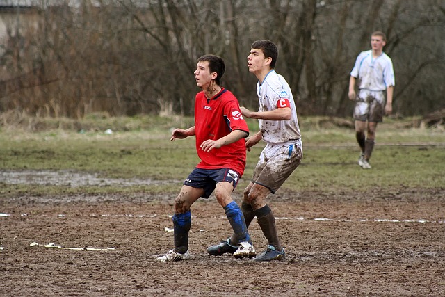 奇特行为为 奇特行为为