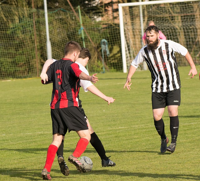 定的数字组 定的数字组