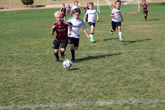 青训营中脱 青训营中脱